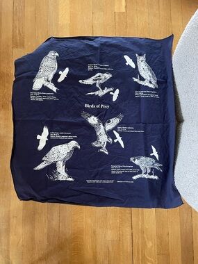 1993 Birds of Prey Navy Badana